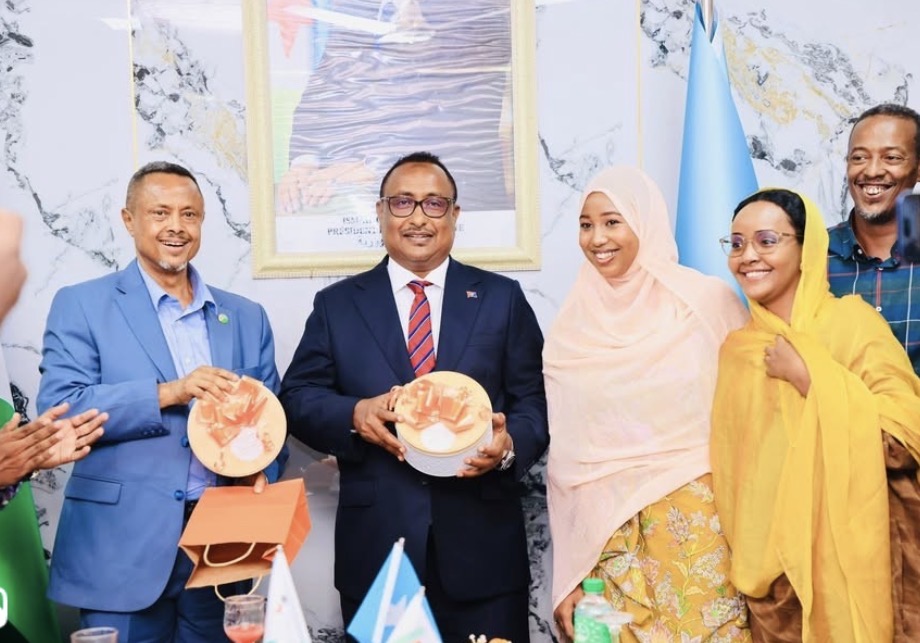 DJIBOUTI–MOGADISHU: TECHNICAL EXPERTISE IN THE SERVICE OF MUNICIPAL COOPERATION